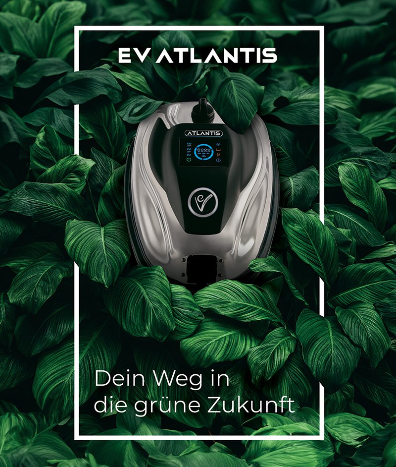 Natürliche Reinigungsmittel